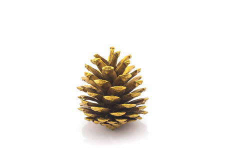 Beautiful golden pine cone on white background for Christmas decorative.の写真素材