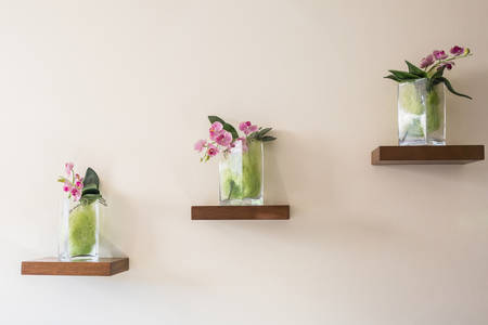Beautiful orchid in glass vase on shelf on the wall background.の写真素材