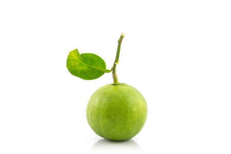 Close up fresh limes on white background.の写真素材