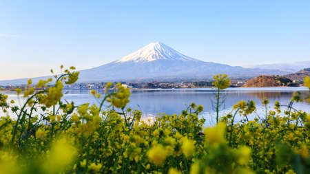 Mount fuji at Lake kawaguchiko in the morning.の写真素材