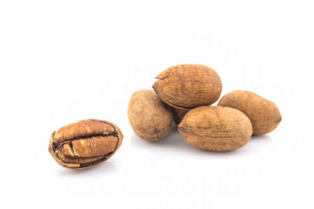 Chinese walnut kernels dried fruit food on white background.