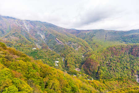 View of forest in autumn season on cable car at Akechidaira plateau. Nikko, Japan.の写真素材