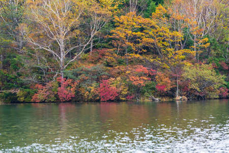 View of Yunoko lake in autumn season at Nikko national park, Nikko, Tochigi, Japan.のeditorial素材