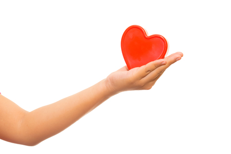Heart in the hands isolatedの写真素材