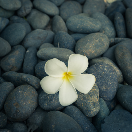 SPA set with flower and stones vintage colorの写真素材
