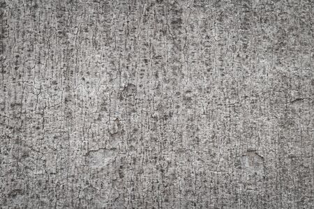Wooden bark texture
