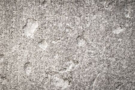 Wooden bark texture