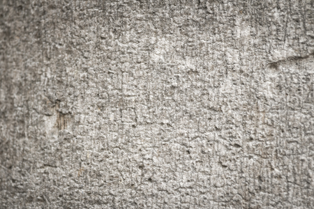 Wooden bark textureの写真素材