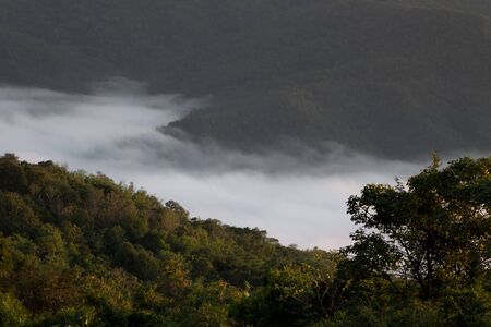 The mist cloud on mountain with forestの写真素材