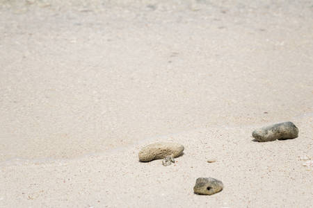 Sea sand and pebble . Summer beach background.の写真素材