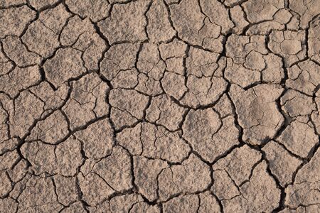 Dry and cracked earth texture. Global climate.