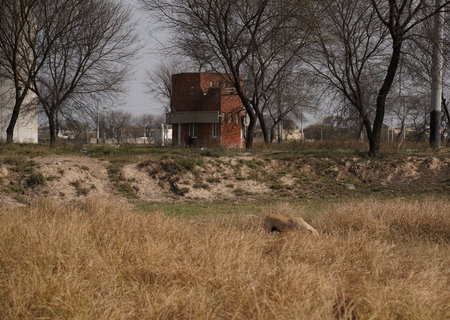 Abandoned building in the middle of a field with dry grassの写真素材