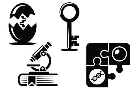 Key, egg, key, magnifier, book and science iconのイラスト素材