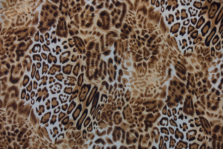 animal leopard print skin pattern seamless fabricの写真素材