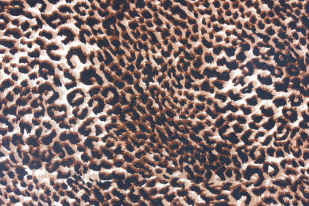 texture of print fabric striped leopard for backgroundの写真素材