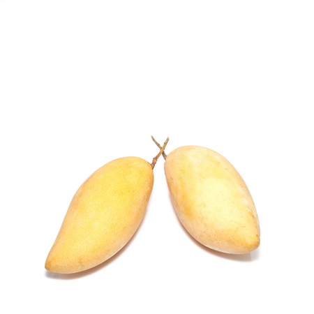 mango isolated on white backgroundの写真素材