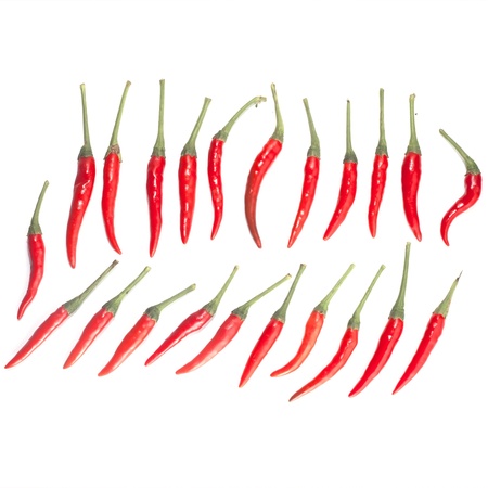 red  chili peppers isolate with backgroundの写真素材