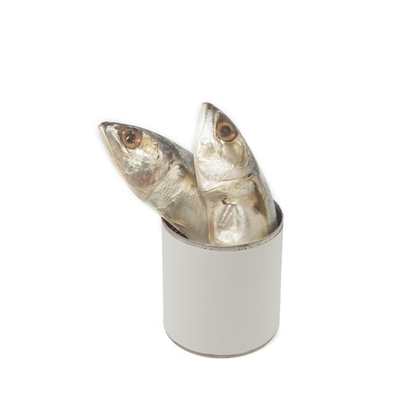 Mackerel raw fishes in canの写真素材