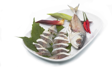 sushi mackerel raw fishes on dishの写真素材