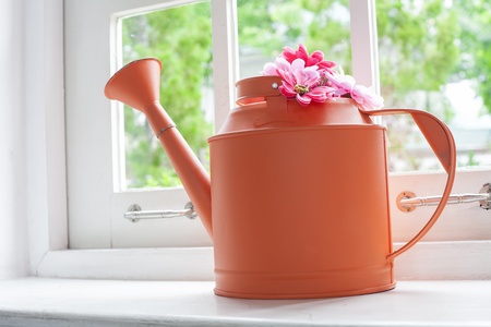 flowers in watering-pot beside windowの写真素材