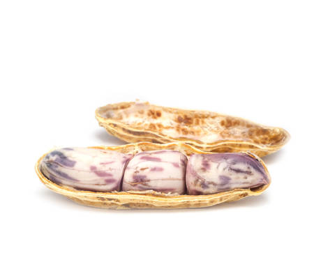 Peanuts on a white background