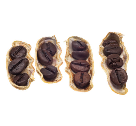 unreal coffee beans in Dried peanuts cover in closeup isolate