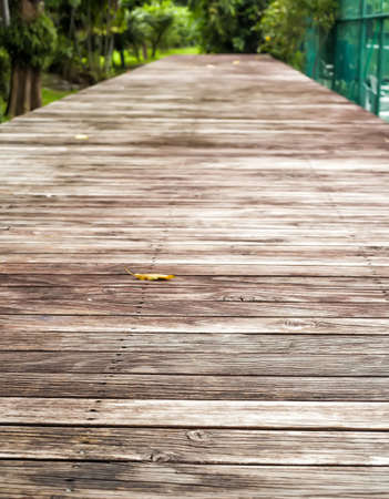 Brown wood bridge in the gardenの写真素材