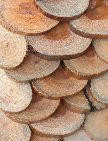pile of sawed pine wood
