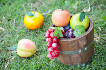 Fruits  in the Basket on green fields.