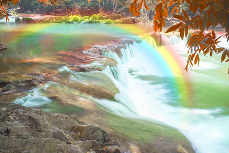 waterfall in deep forest and color leaf in winterの写真素材