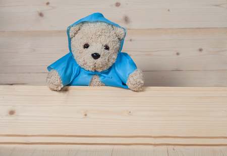 Bear toy shelter behind a wooden wallの写真素材