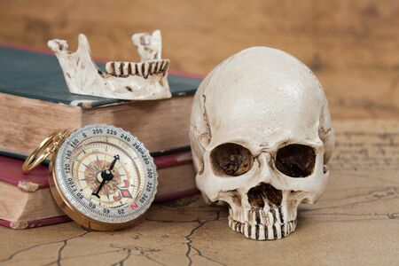Human Skull and compass on Old map Backgroundの写真素材