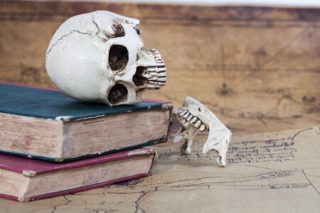 Human Skull and old text book on Old map Backgroundの写真素材