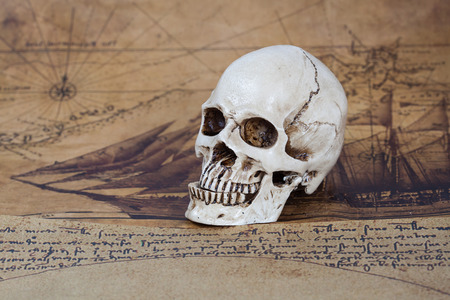Human Skull and old text book on Old map Backgroundの写真素材