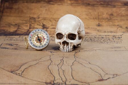 Human Skull and compass on Old map Backgroundの写真素材