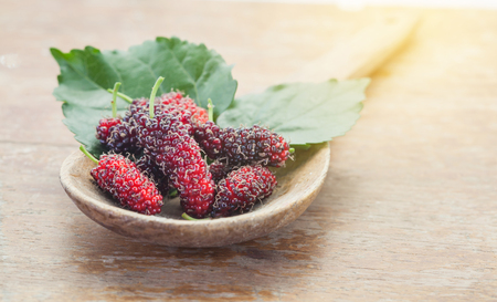 Mulberry fruit on wooden spoon. Selective focus,の写真素材