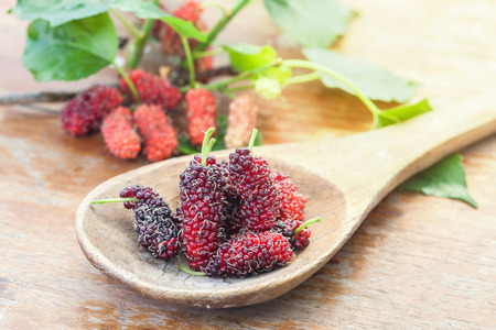 Mulberry fruit on wooden spoon. Selective focus,の写真素材