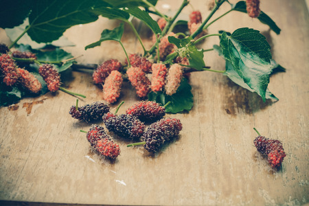 Mulberry fruit on wooden background. Selective 
focus,の写真素材