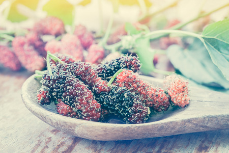 Mulberry fruit on wooden spoon. Selective focus,の写真素材