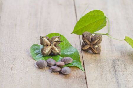 dried capsule seeds fruit of Sacha Inchi peanut on wooden tableの写真素材
