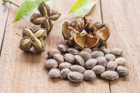 dried capsule seeds fruit of Sacha Inchi peanut on wooden 
tableの写真素材