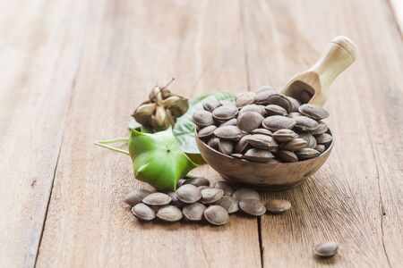 dried capsule seeds fruit of Sacha Inchi peanut in dish on 
woodの写真素材