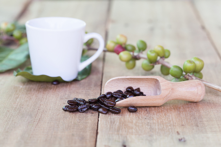 Fresh coffee beans on wood and coffee cupの写真素材