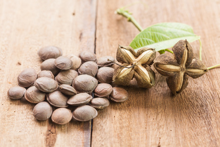 dried capsule seeds fruit of Sacha Inchi peanut on wooden 
tableの写真素材