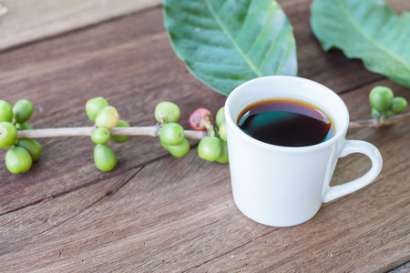 Fresh coffee beans on wood and coffee cupの写真素材