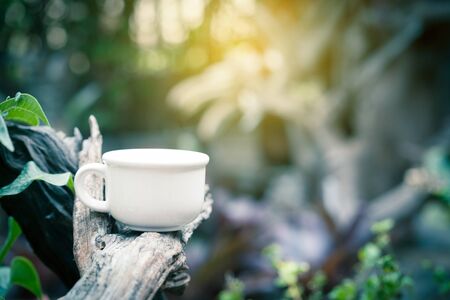 coffee or tea cup on branchの写真素材