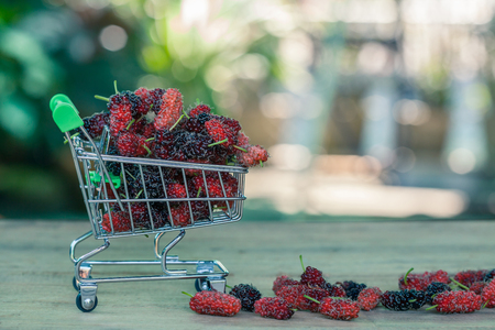 Mulberry in shopping cart on woodの写真素材