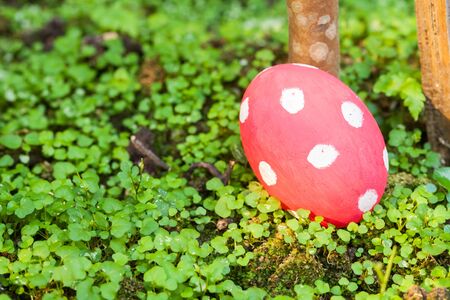 easter egg in the gardenの写真素材