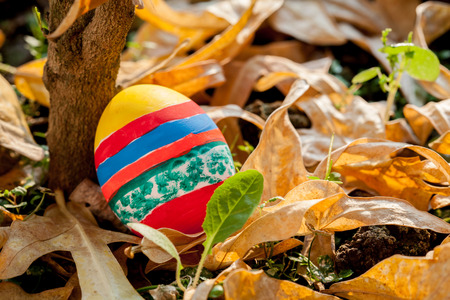 easter egg in the gardenの写真素材