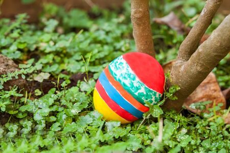 easter egg in the garden